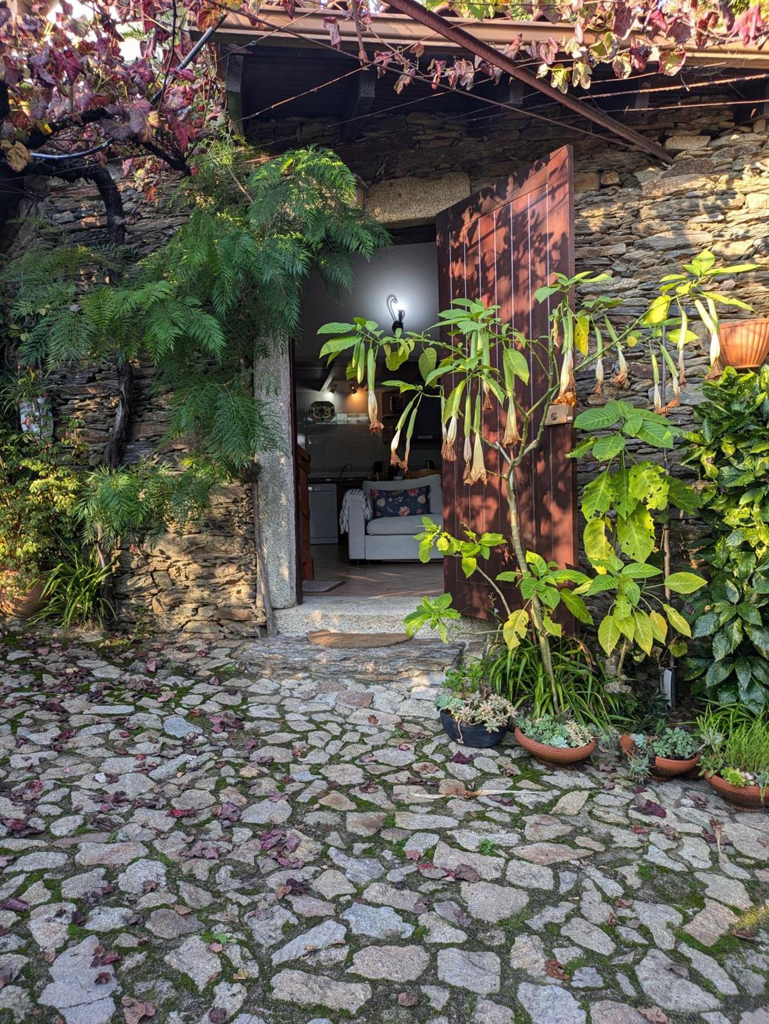 Amonde Casa Do Valoヴィラ エクステリア 写真