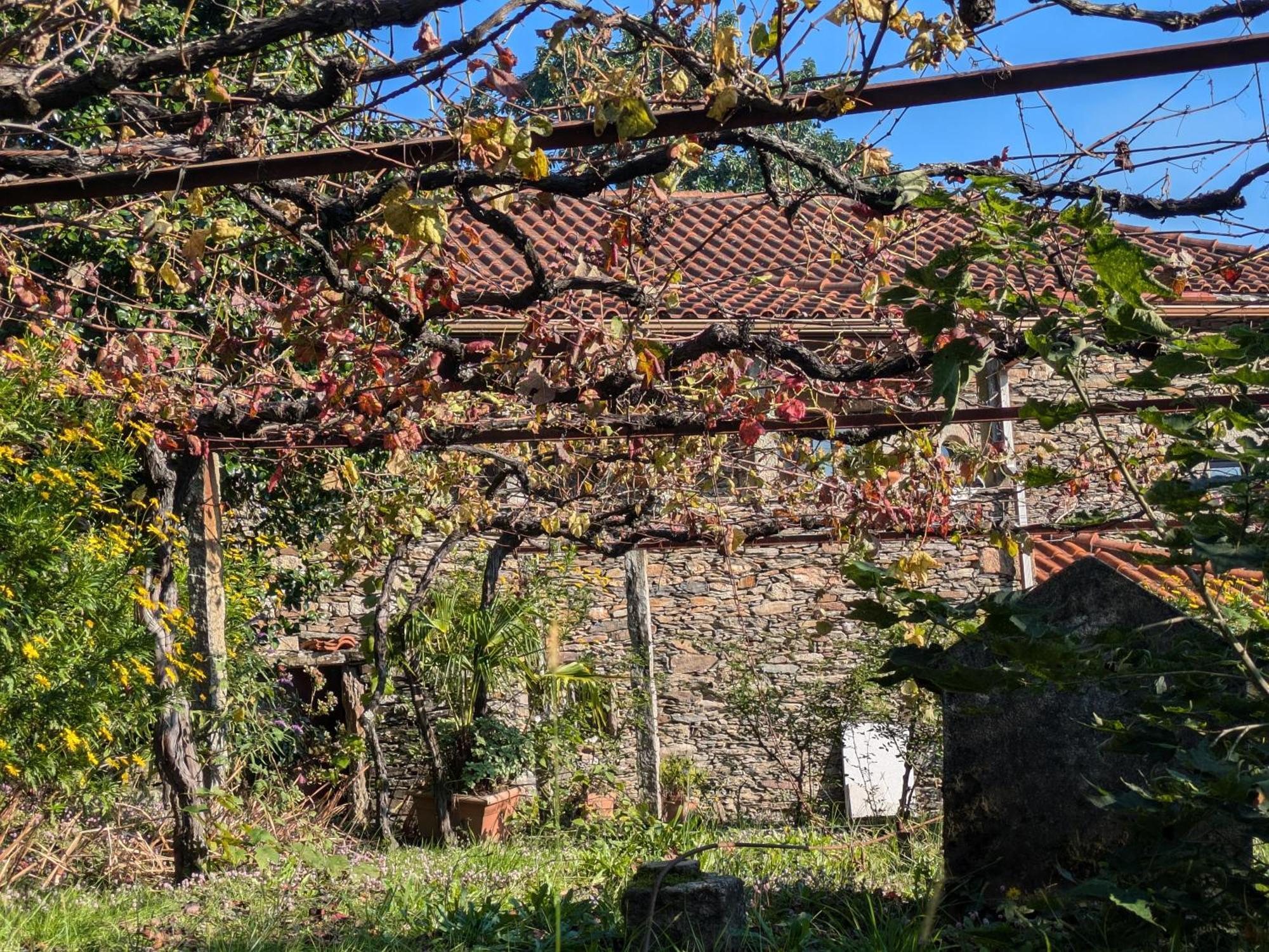 Amonde Casa Do Valoヴィラ エクステリア 写真