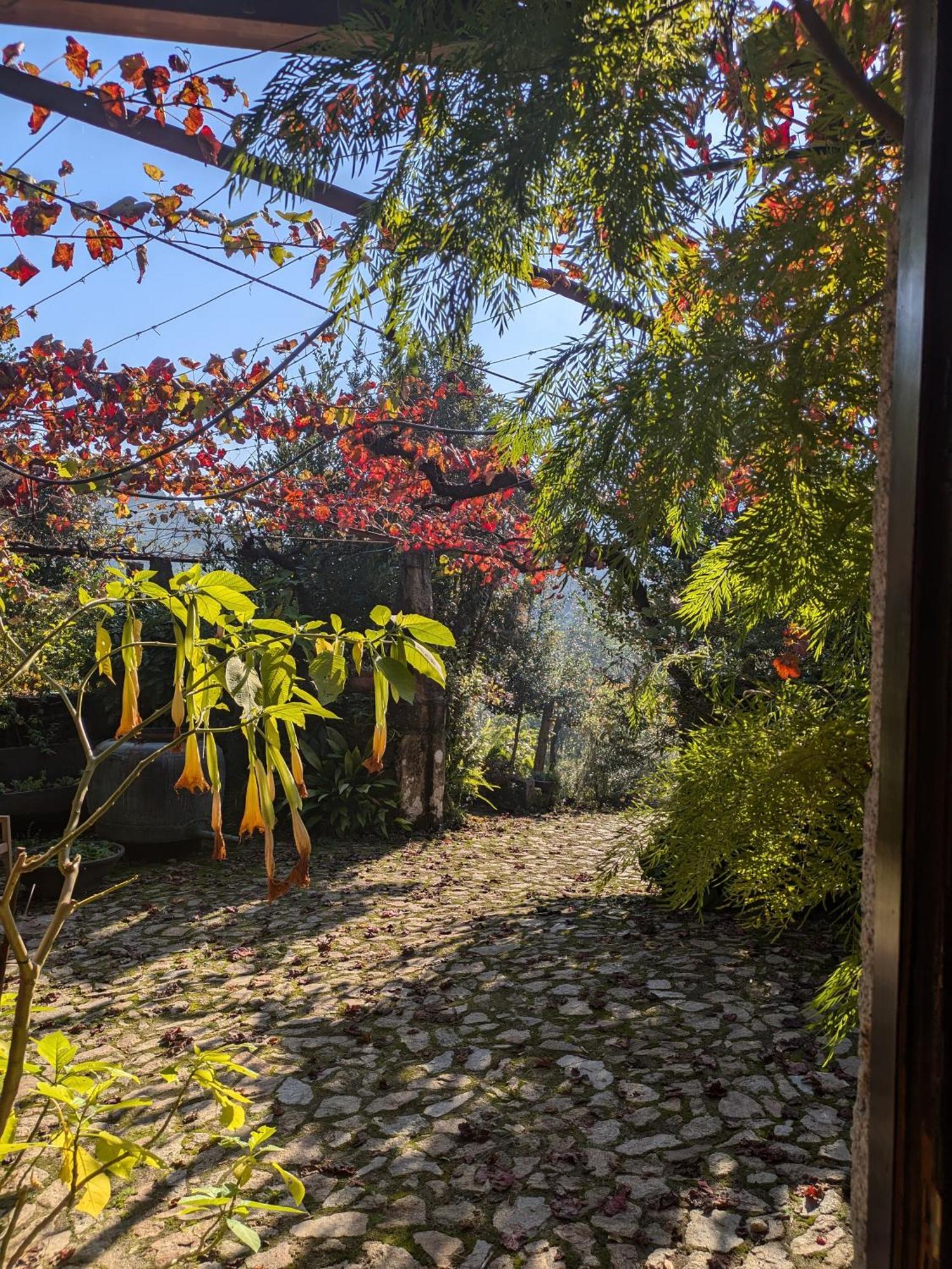 Amonde Casa Do Valoヴィラ エクステリア 写真